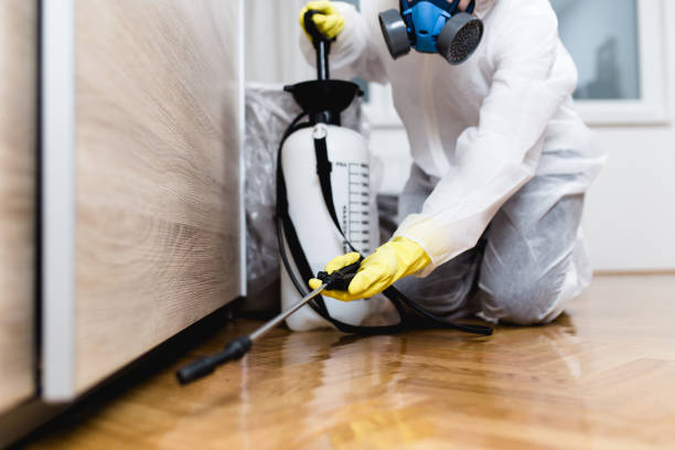 Best Cockroach Control Services  in Englishtown, NJ