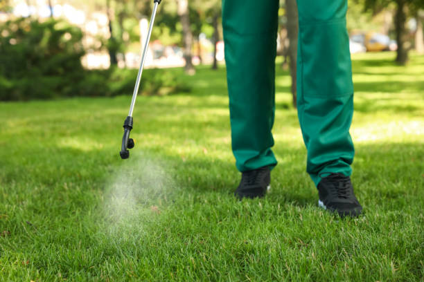 Best Residential Pest Control  in Englishtown, NJ