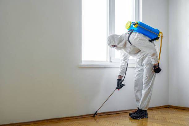 Best Pest Control for Businesses  in Englishtown, NJ