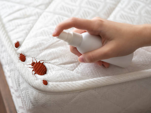 Best Exterminator Services  in Englishtown, NJ
