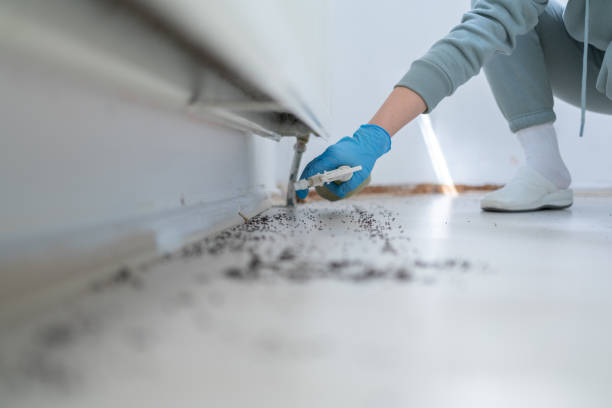 Best Rat Extermination Near Me  in Englishtown, NJ